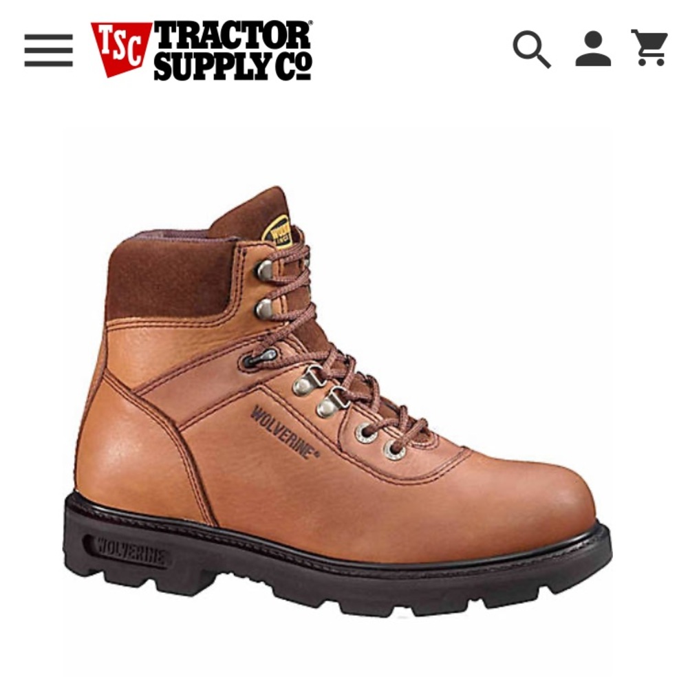 Wolverine Men’s 6in Boot